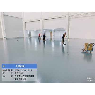 温氏佳味防静电环氧地坪工程